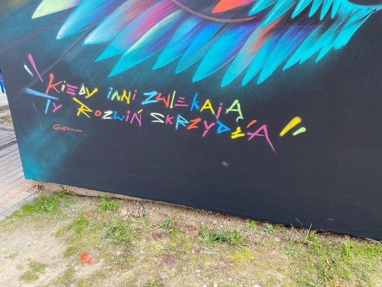 W Wodzisławiu powstaje mural. Ma motywować, Aleksandra Bienias
